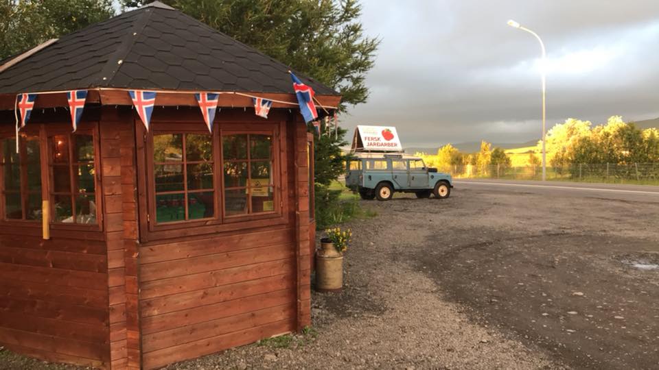 strawberry sale by the road