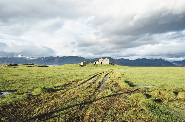 icelandic farmer vikings