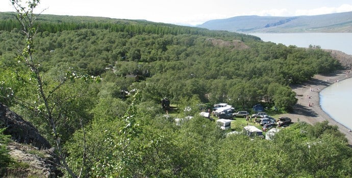 hallormsstaðaskógur forest