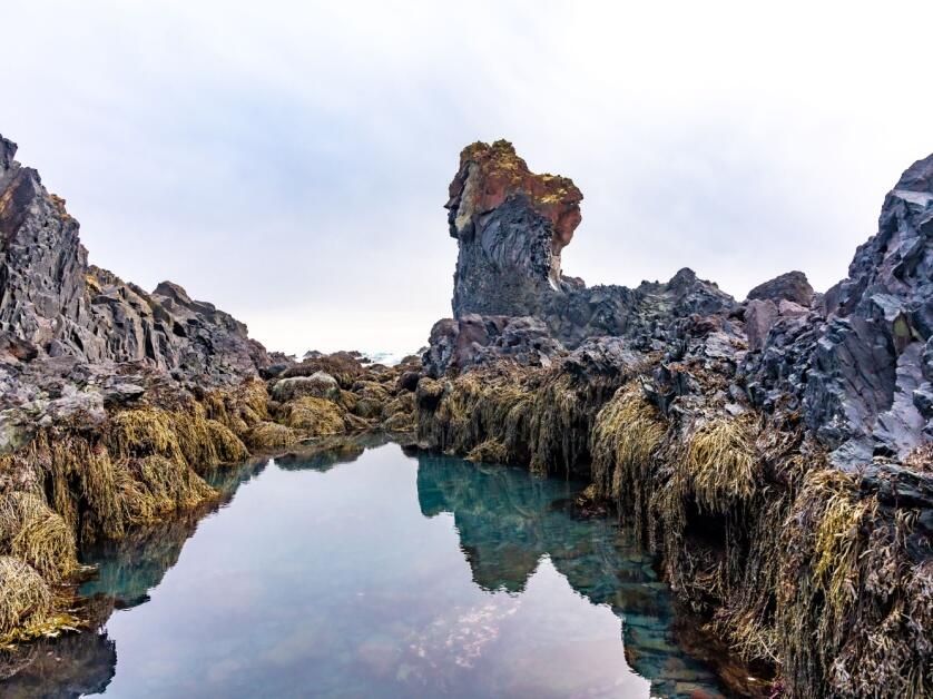 A beautiful rock formation with crystal-clear, turquoise waters settled in the basin ringed by algae.