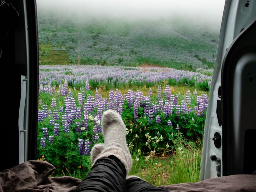 A person lays down inside a camper van wearing thick fuzzy socks. The van's back doors are wide open on a bright purple Nootka Lupine field.