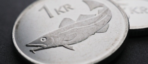 A close-up macro shot of the Icelandic 1 crona coin.